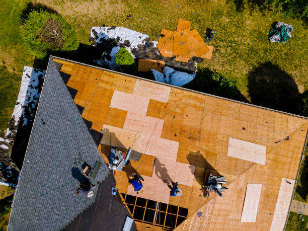 Best Storm Damage Roof Repair  in Crown Heights, NY